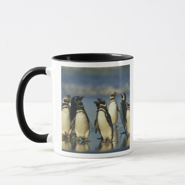 Magellanische Pinguine, Spheniskus Tasse (Links)