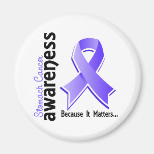 Magen-Krebs-Bewusstsein 5 Magnet