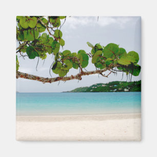 Magens Bucht, St Thomas 2 Zoll-Quadrat-Magnet Magnet