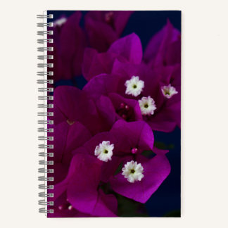Magenta Blume Foto Spiral Notebook Notizbuch