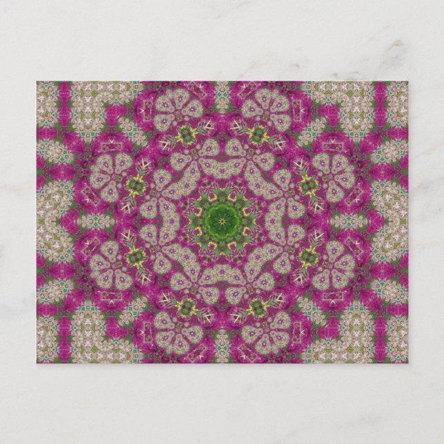Magenta Blume Lace Mandala Postkarte (Vorderseite)