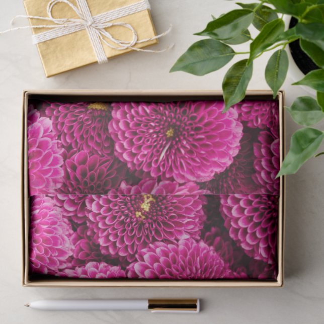 Magenta Chrysanthemum Floral Tissue Seidenpapier (Geschenk)