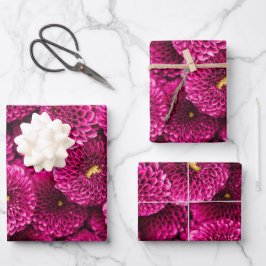 Magenta Chrysanthemum Floral Wrapping Paper Geschenkpapier Set