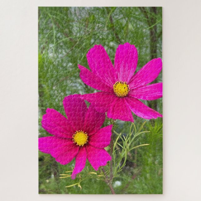 Magenta Cosmos, Quebec City Puzzle (Vertikal)