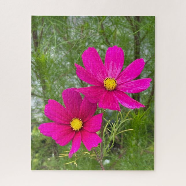 Magenta Cosmos, Quebec City Puzzle (Vertikal)