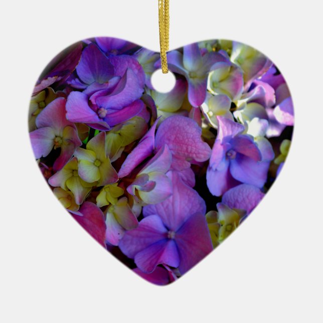 Magenta Lila-blaugelbe Hydrangeas-Blume Keramik Ornament (Vorne)