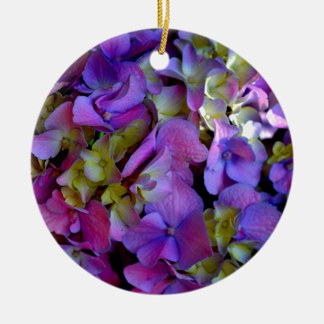 Magenta Lila-blaugelbe Hydrangeas-Blume Keramikornament (Vorne)