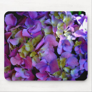Magenta Lila-blaugelbe Hydrangeas-Blume Mousepad
