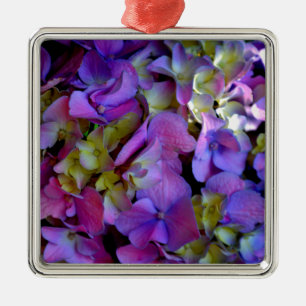 Magenta Lila-blaugelbe Hydrangeas-Blume Silbernes Ornament