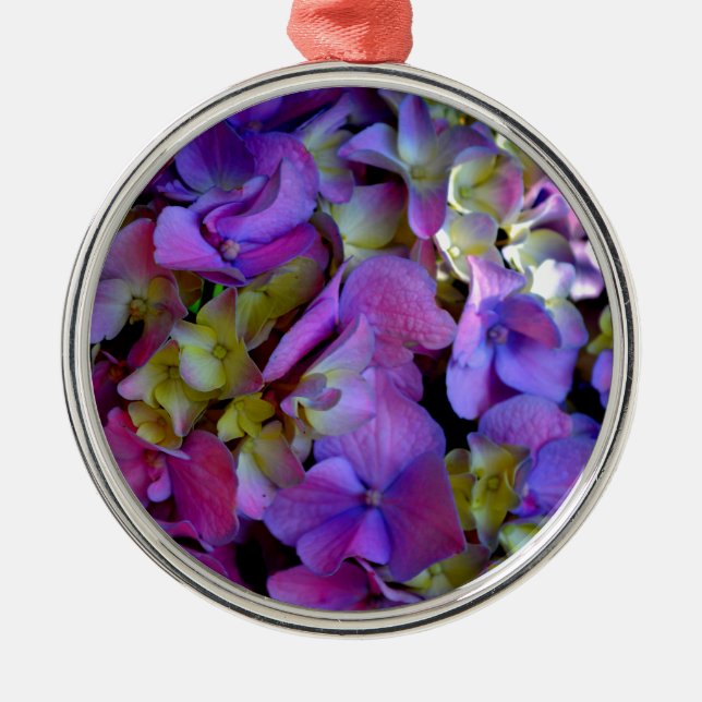 Magenta Lila-blaugelbe Hydrangeas-Blume Silbernes Ornament (Vorne)