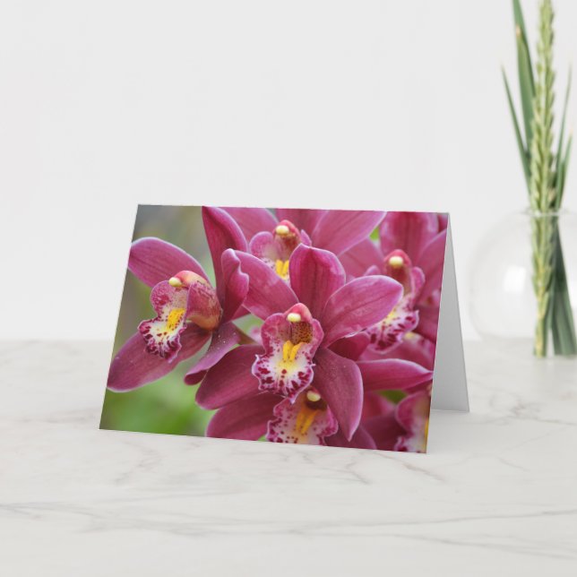 Magenta Orchids Blank Note Card Karte (Vorderseite)