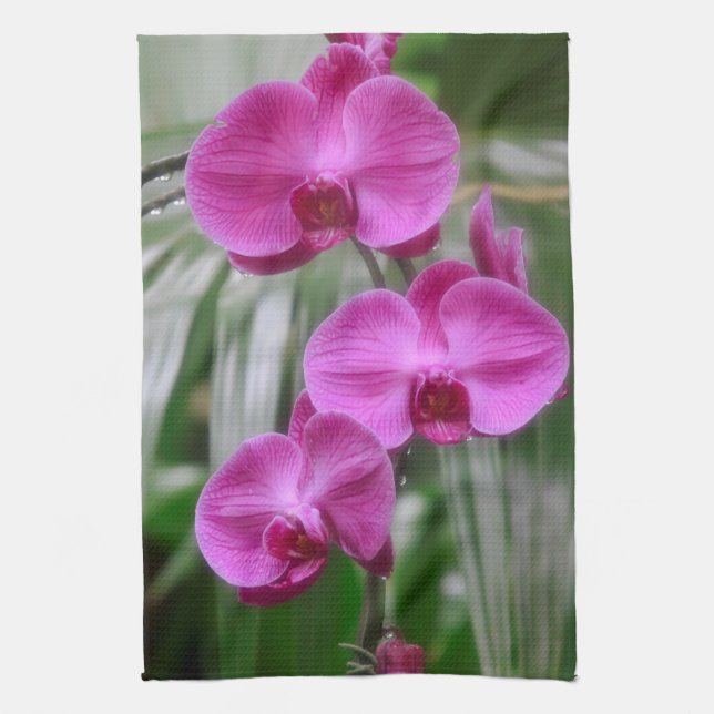 Magenta Orchids Küchentücher (Vertikal)