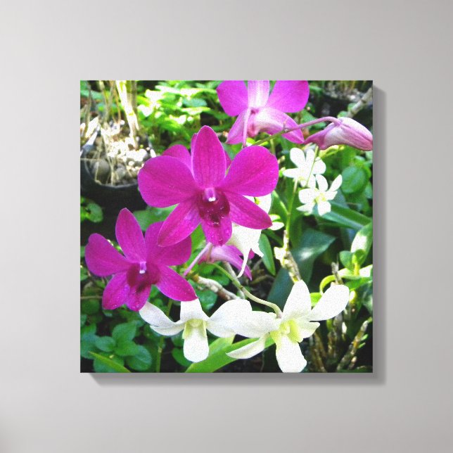 Magenta Orchids Wrapped Canvas Leinwanddruck (Vorderseite)