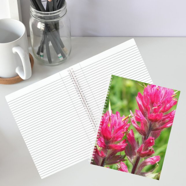 Magenta Paintbrush Bloms Floral Notizbuch (In Situ)