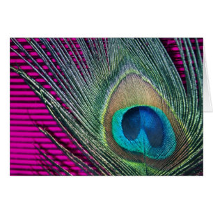 Magenta Peacock mit Schlangen