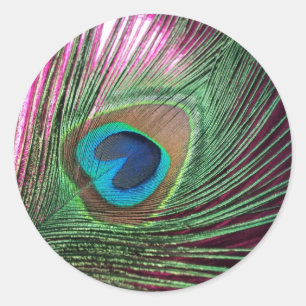 Magenta Peacock Runder Aufkleber