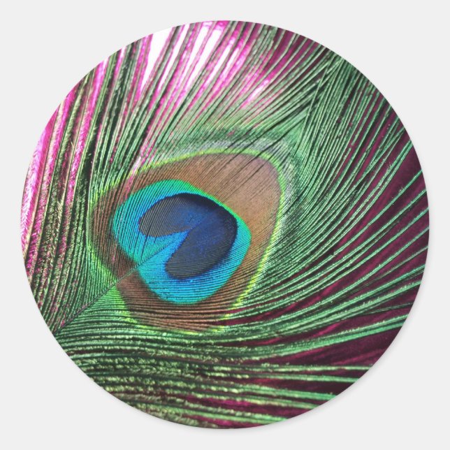 Magenta Peacock Runder Aufkleber (Vorderseite)