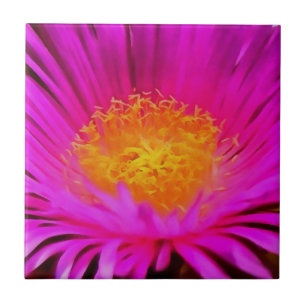 Magenta Pink Aster Blume Kunst Fliese