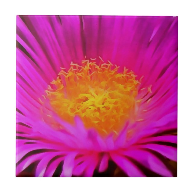 Magenta Pink Aster Blume Kunst Fliese (Vorderseite)