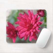 Magenta Pink Mum Blume Maus Pad