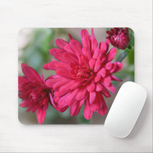 Magenta Pink Mum Blume Maus Pad Mousepad