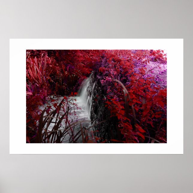 Magenta Poster (Vorne)