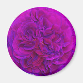 Magenta Rose Puff Magnet
