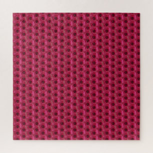Magenta-Rose Puzzle