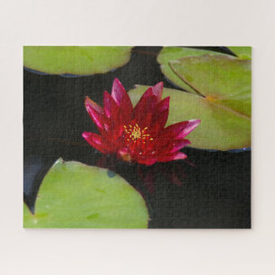 Magenta Wasserlilie Jigsaw Puzzle
