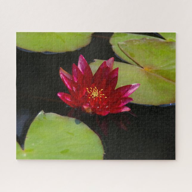 Magenta Wasserlilie Jigsaw Puzzle (Horizontal)