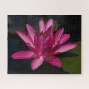Magenta Wasserlilie Jigsaw Puzzle