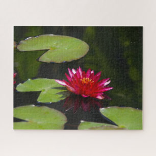 Magenta Wasserlilie Jigsaw Puzzle