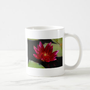 Magenta Wasserlilie Tasse