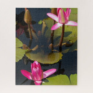 Magenta Wasserlilien Jigsaw Puzzle