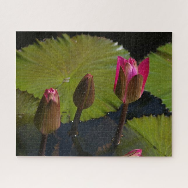 Magenta Wasserlilien Jigsaw Puzzle (Horizontal)
