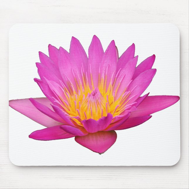 Magentarote Wasserlilie 2 Mousepad (Vorne)