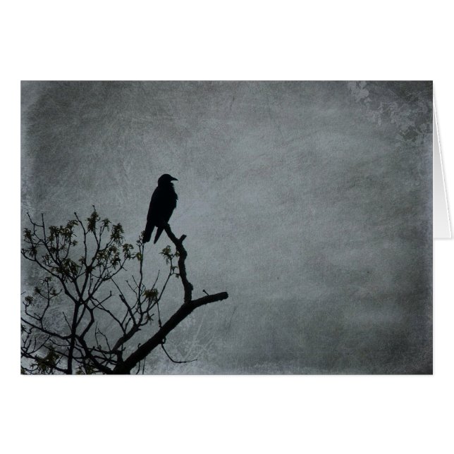 Magestic Crow (Vorderseite (Horizontal))