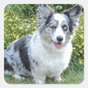 Maggie Bergwerk Quadratischer Aufkleber