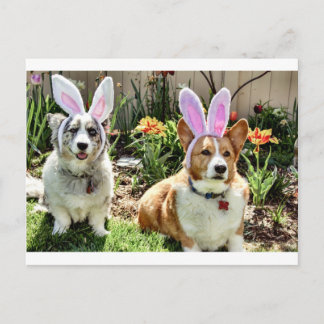 Maggie & Chuck Postkarte