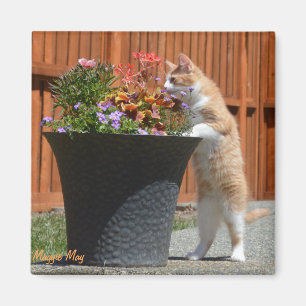Maggie kann u. Blumen Magnet