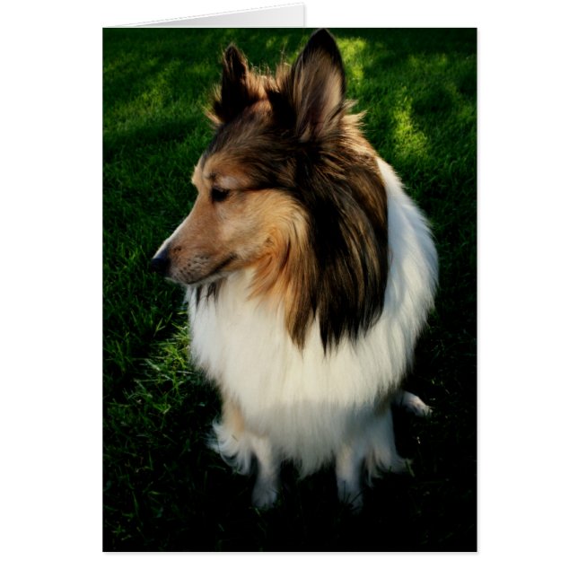 Maggie Karte 2 (Vorne)