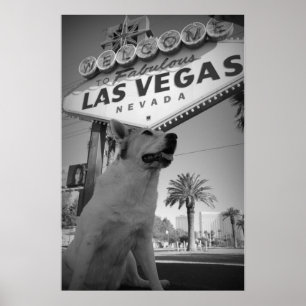 Maggie - Las Vegas-Schild Poster