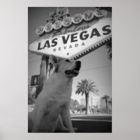 Maggie - Las Vegas-Zeichen