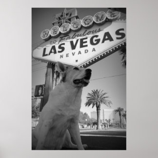 Maggie - Las Vegas-Zeichen Poster