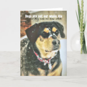 MAGGIE MAE Grußkarte Dankeskarte