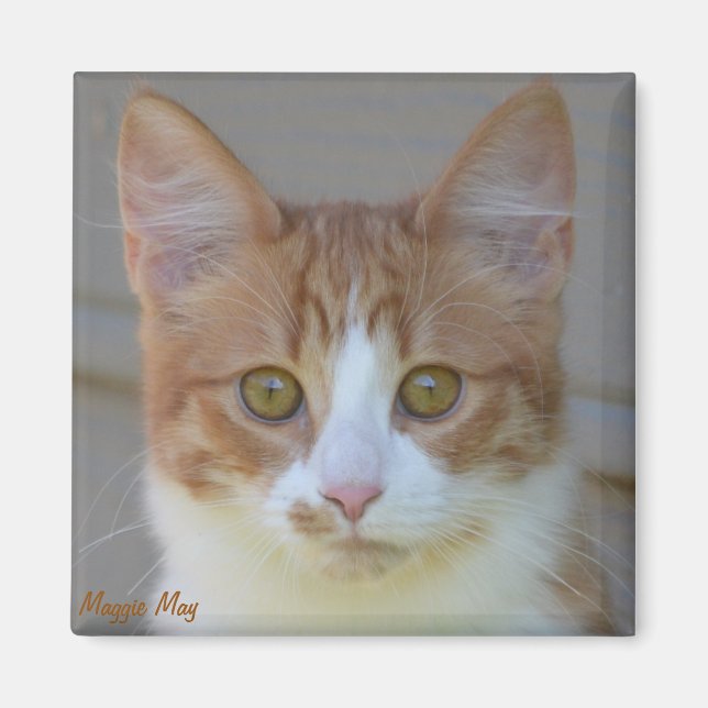 Maggie May Magnet (Vorne)