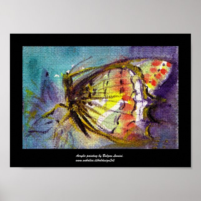 MAGIC BUTTERFLY POSTER (Vorne)