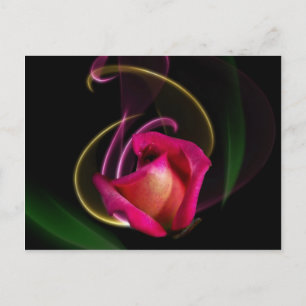 Magic Carousel Rose Postcards Postkarte