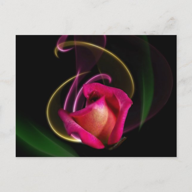 Magic Carousel Rose Postcards Postkarte (Vorderseite)