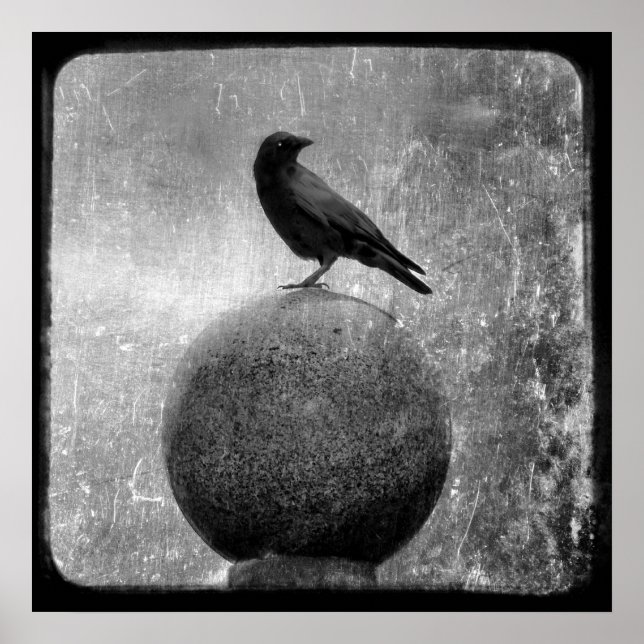 Magic Crow Poster (Vorne)